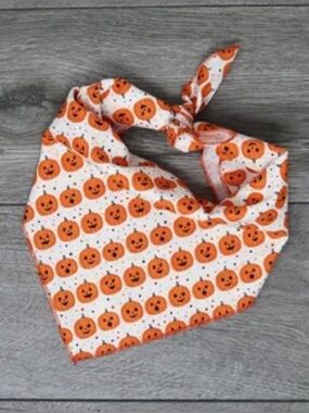 Halloween Dog Bandana